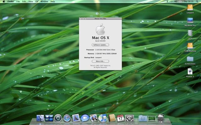 Mac OS X Leopard — build 9A499 — photograph 2