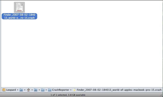 Mac OS X Leopard — build 9A499 — photograph 39