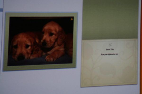Macworld San Francisco 2006 — keynote — photograph 89